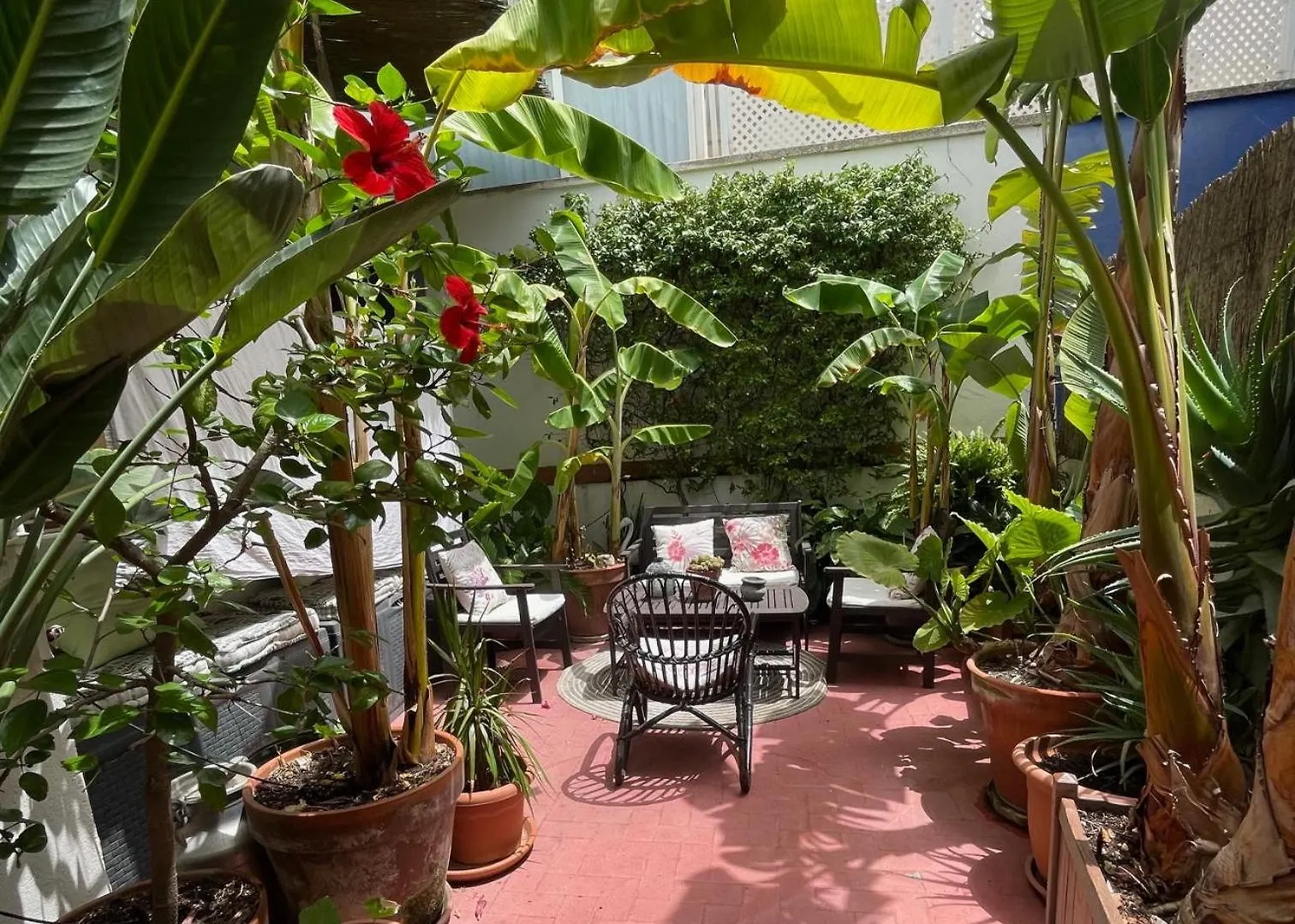 Preciosa Casa En El Centro Con Azotea Y Patio Apartment Sitges